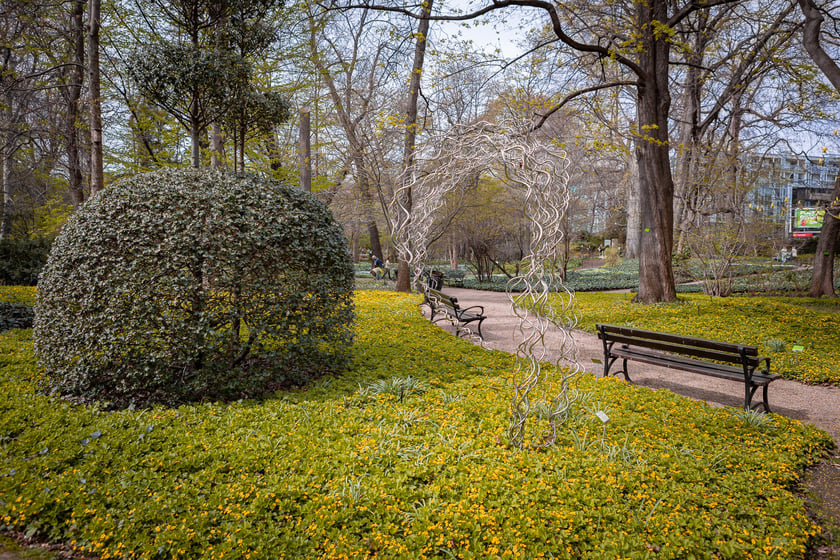 Wrocławski ogr&oacute;d botaniczny otwarty. Można go odwiedzać od 1 kwietnia do końca października.