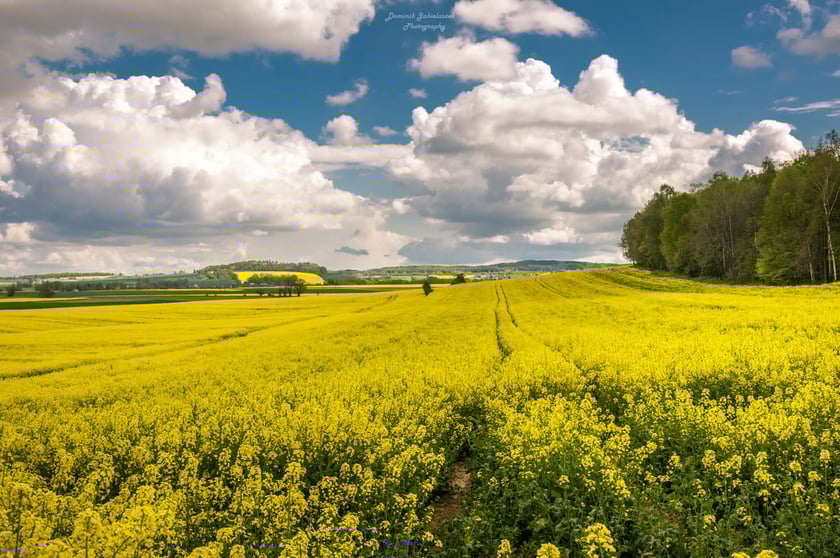 Kraina Wygasłych Wulkan&oacute;w