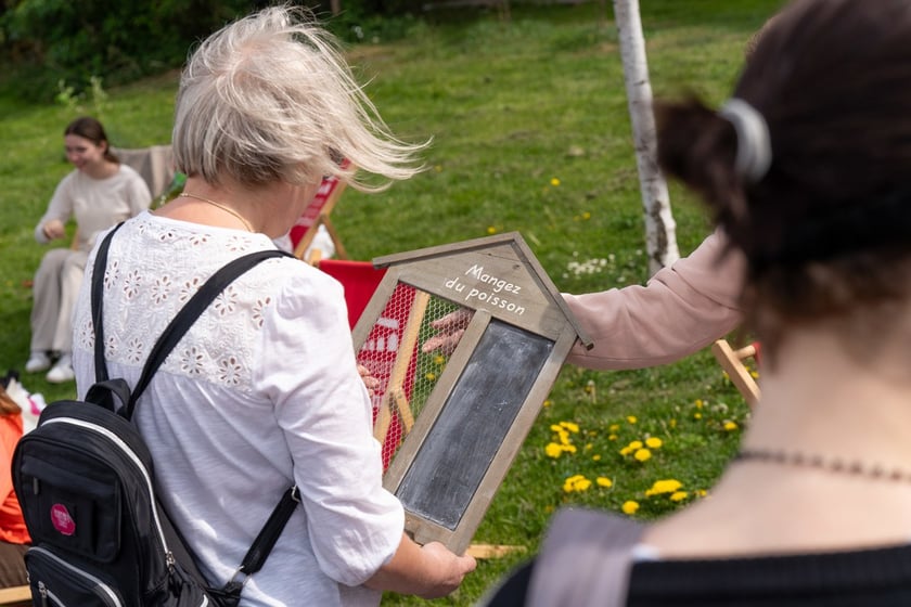 Pchli targ przy Centrum Historii Zjezdnia we Wrocławiu