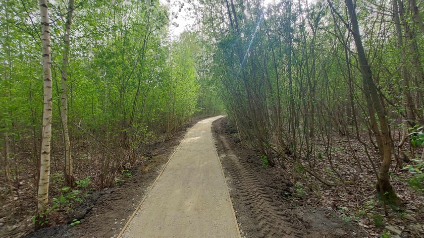 Tak będzie wyglądać Smocze Uroczysko