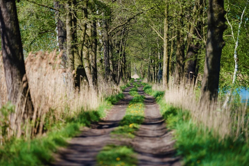 Ścieżka przyrodnicza Stawy Krośnickie