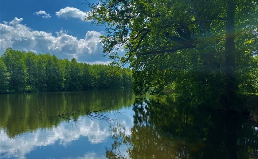 Ścieżka przyrodnicza Stawy Krośnickie