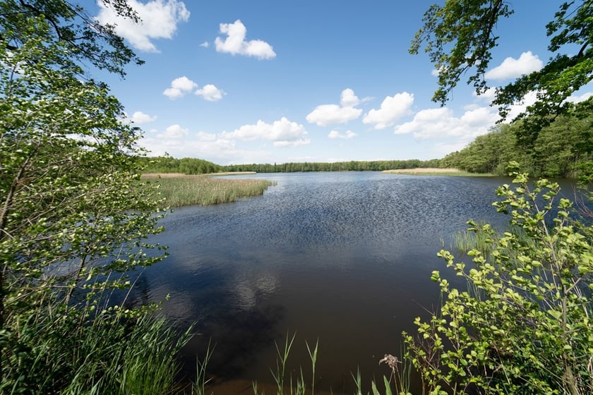 Ścieżka przyrodnicza Stawy Krośnickie