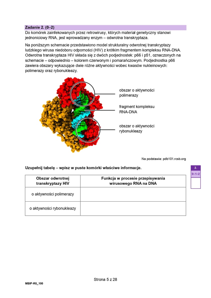 Arkusz CKE: Matura rozszerzona z biologii 2024 - zadania, 14 maja