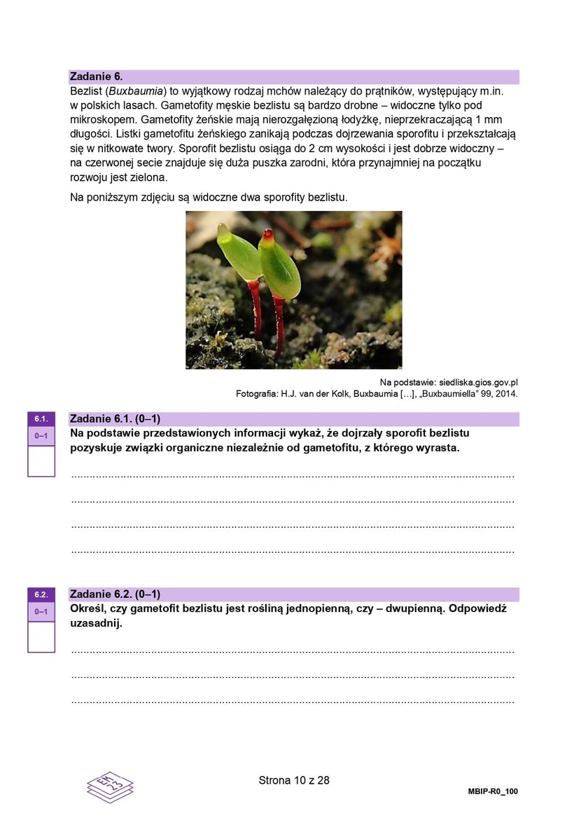 Arkusz CKE: Matura rozszerzona z biologii 2024 - zadania, 14 maja