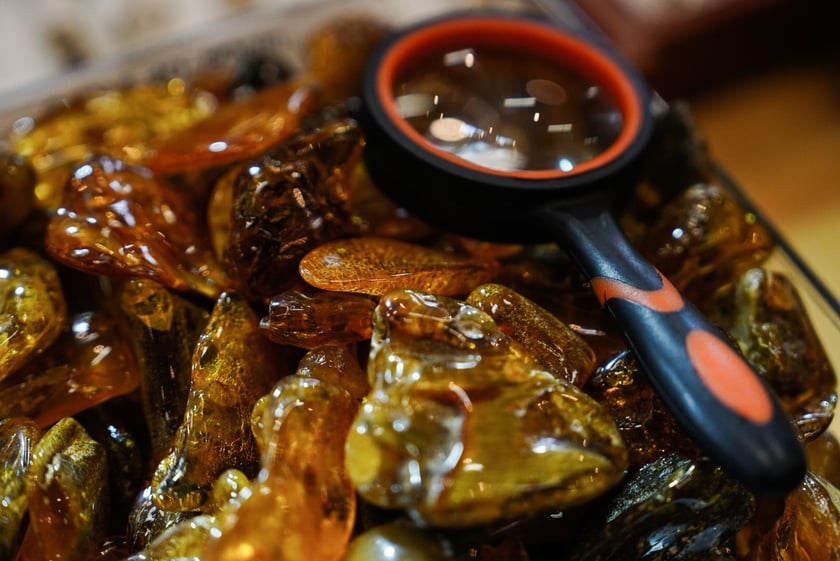 Kupuj Świadomie w Czasoprzestrzeni, 19 maja 2024