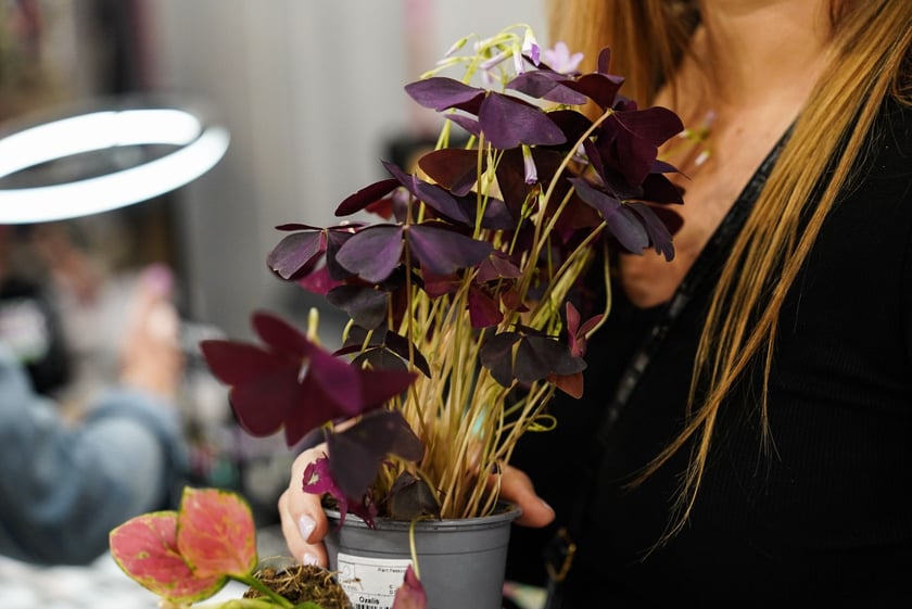 Kupuj Świadomie w Czasoprzestrzeni, 19 maja 2024