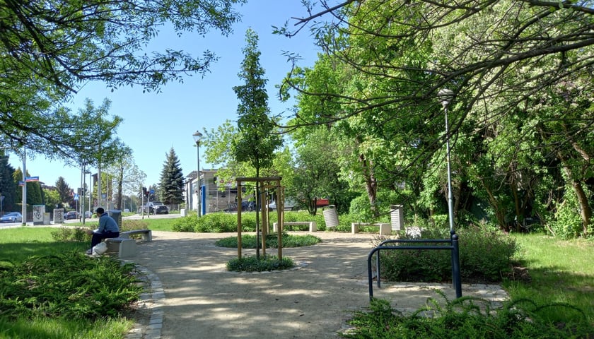 Skwer między ul. Parafialną a Pszczelarską