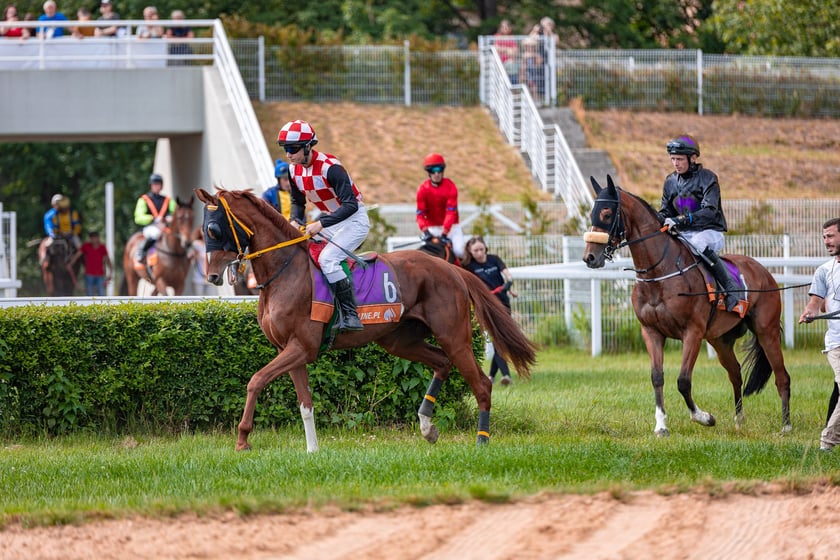 Suempol Ladies Day  na Partynicach. Wrocław, 09.06.2024