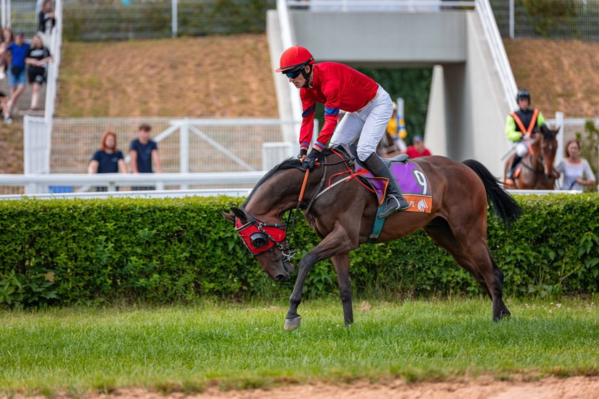 Suempol Ladies Day  na Partynicach. Wrocław, 09.06.2024