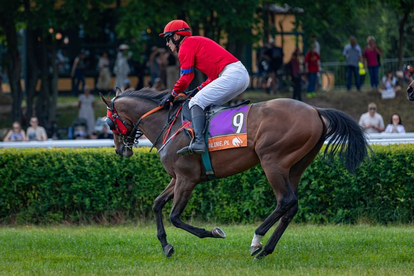 Suempol Ladies Day  na Partynicach. Wrocław, 09.06.2024