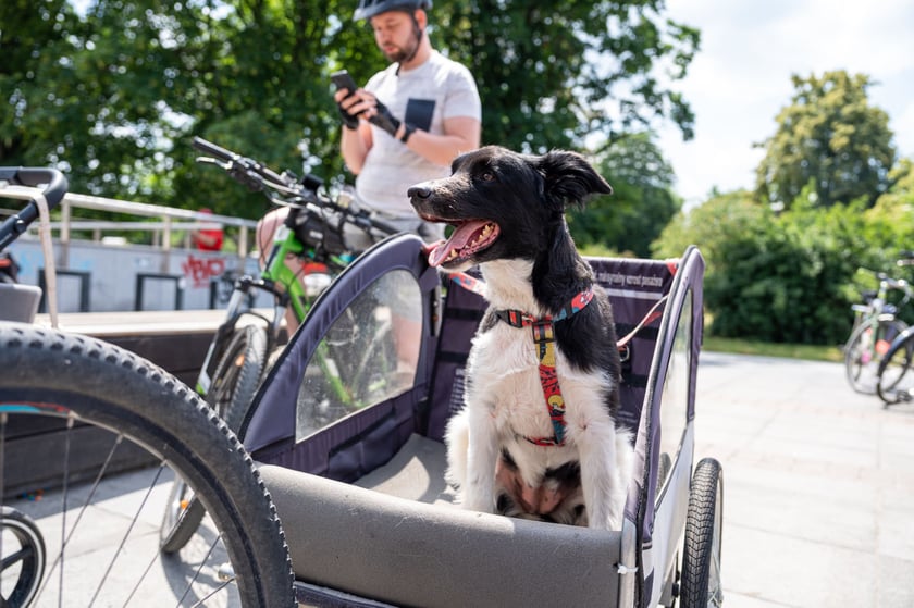 Wielki Peleton przejechał przez Wrocław