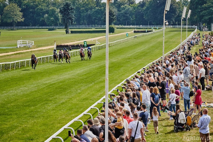 W niedzielę, 23 czerwca, dzień wyścigowy na Wrocławskim Torze Wyścigów Konnych - Partynice