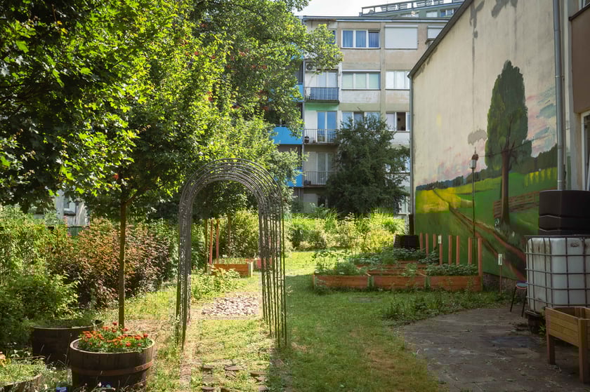 Przedszkole na ul. Oporowskiej stworzyło ogrody warzywne i łąkę na muralu