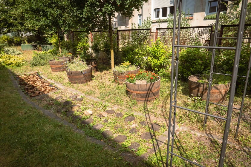 Przedszkole na ul. Oporowskiej stworzyło ogrody warzywne i łąkę na muralu