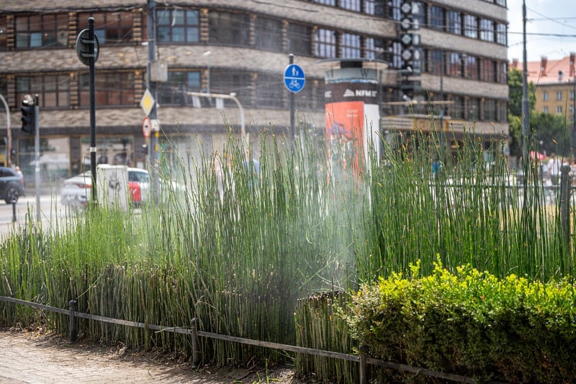 Zraszacze przy Promenadzie Staromiejskiej