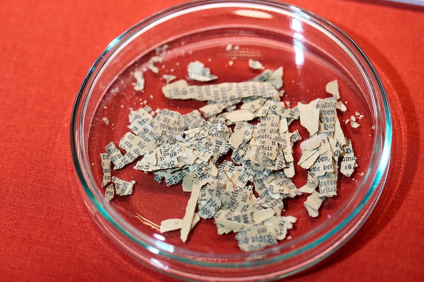 Kapsuła czasu w Muzeum Archeologicznym