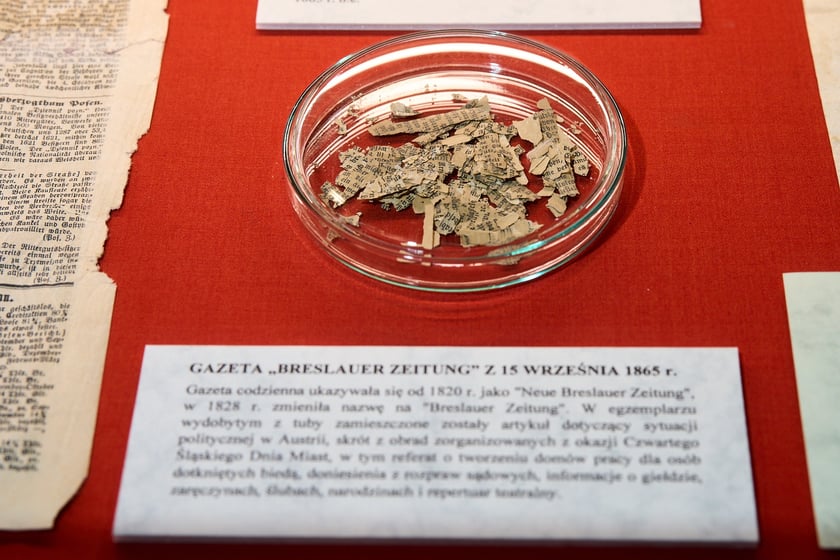 Kapsuła czasu w Muzeum Archeologicznym