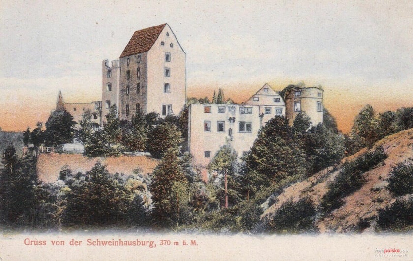 Zamek Świny w 1904 roku