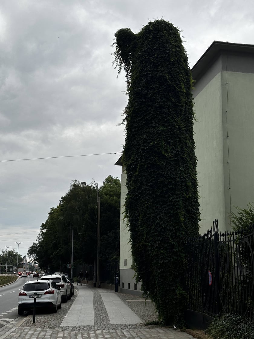 Upiorna latarnia we Wrocławiu - zdjęcia za dnia