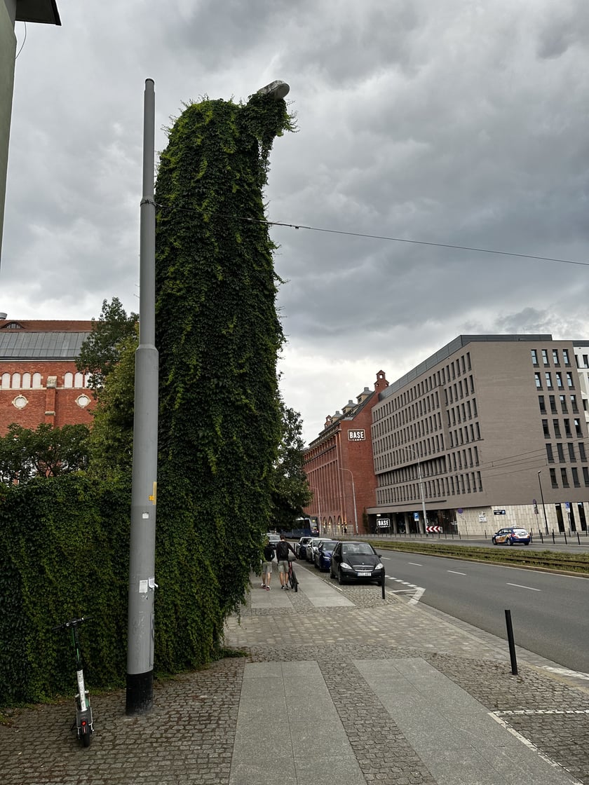 Upiorna latarnia we Wrocławiu - zdjęcia za dnia