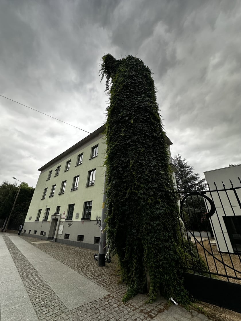 Upiorna latarnia we Wrocławiu - zdjęcia za dnia