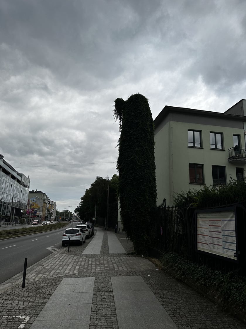 Upiorna latarnia we Wrocławiu - zdjęcia za dnia