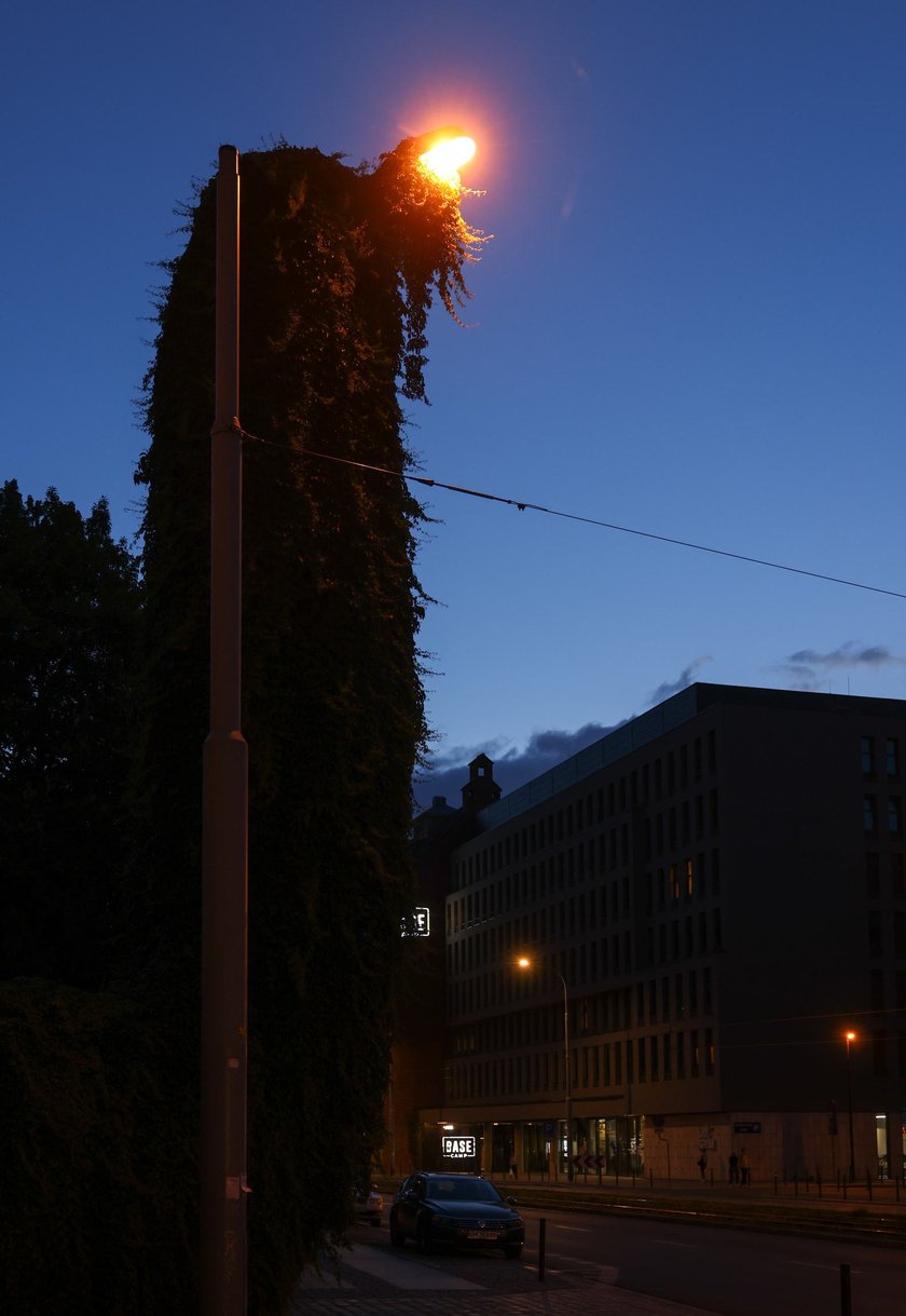 Upiorna latarnia we Wrocławiu - zdjęcia po zmroku