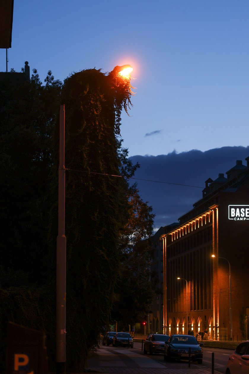 Upiorna latarnia we Wrocławiu - zdjęcia po zmroku