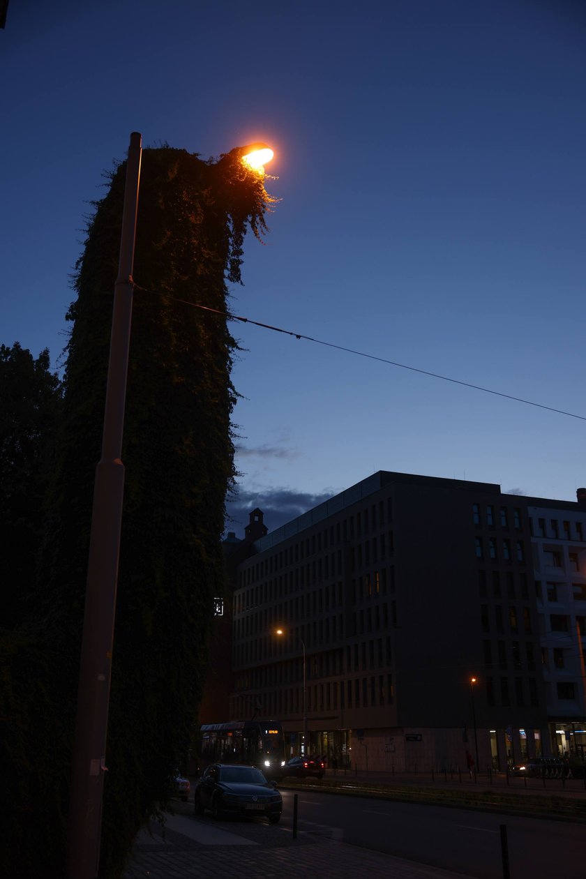 Upiorna latarnia we Wrocławiu - zdjęcia po zmroku