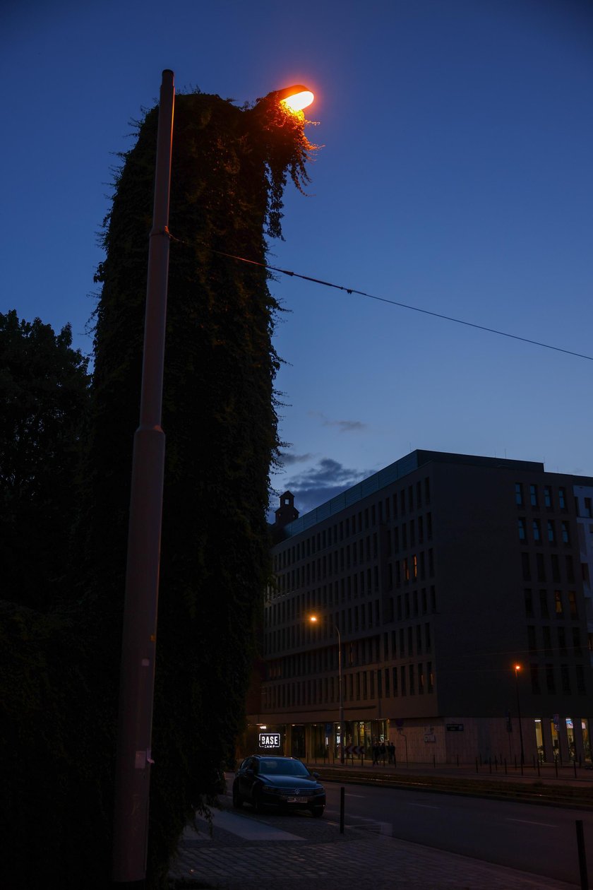 Upiorna latarnia we Wrocławiu - zdjęcia po zmroku