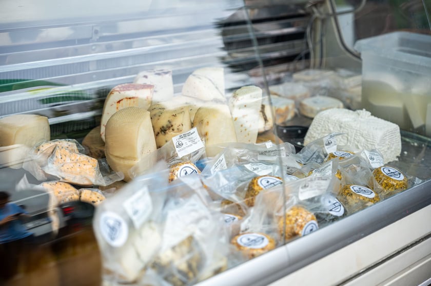 Regionalna Wystawa Zwierząt Hodowlanych we Wrocławiu