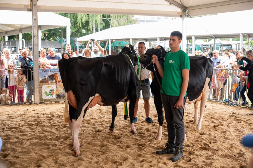 Regionalna Wystawa Zwierząt Hodowlanych we Wrocławiu