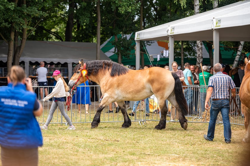 Regionalna Wystawa Zwierząt Hodowlanych we Wrocławiu