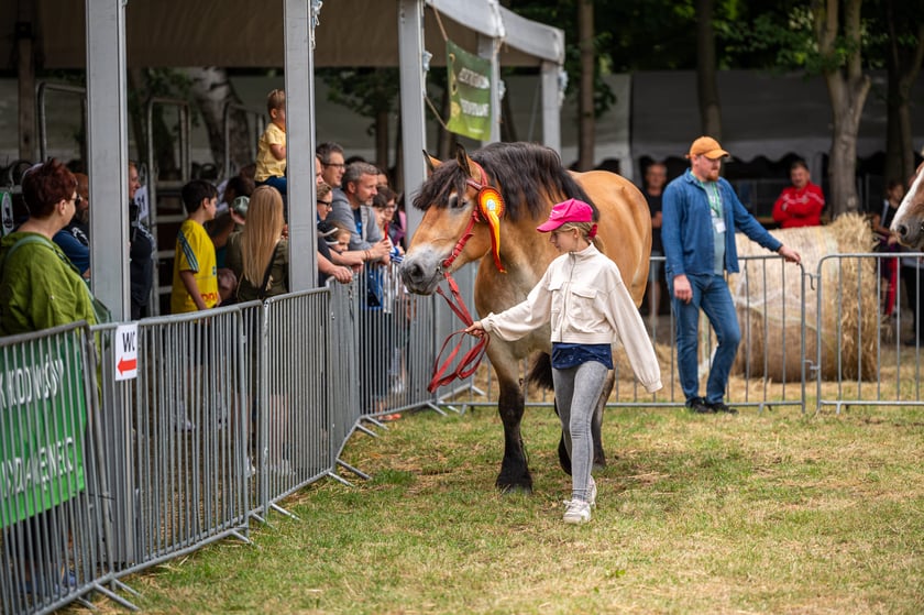 Regionalna Wystawa Zwierząt Hodowlanych we Wrocławiu
