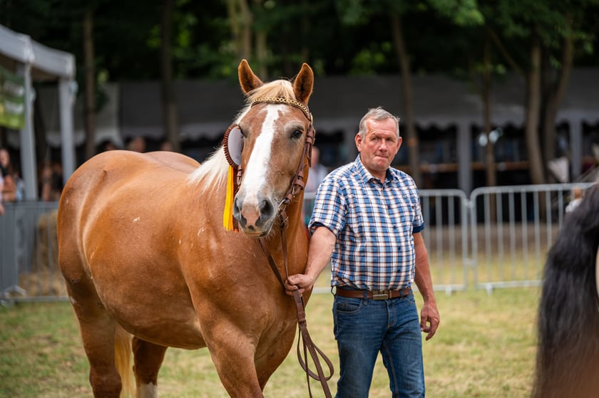 Regionalna Wystawa Zwierząt Hodowlanych we Wrocławiu