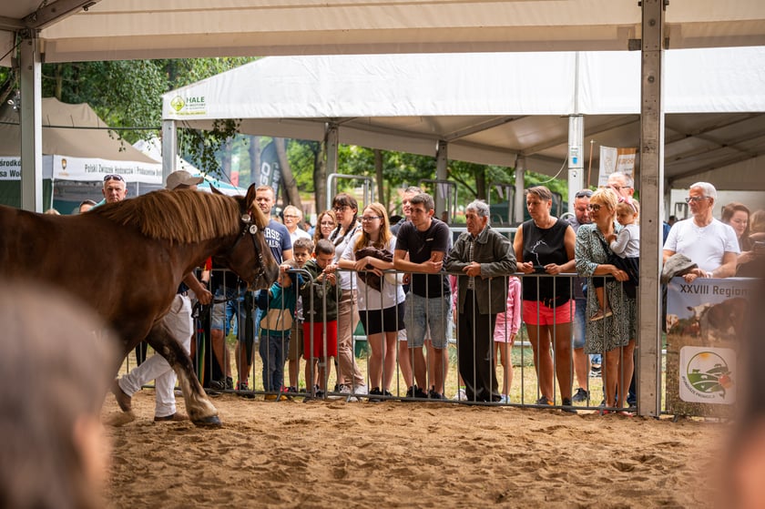 Regionalna Wystawa Zwierząt Hodowlanych we Wrocławiu