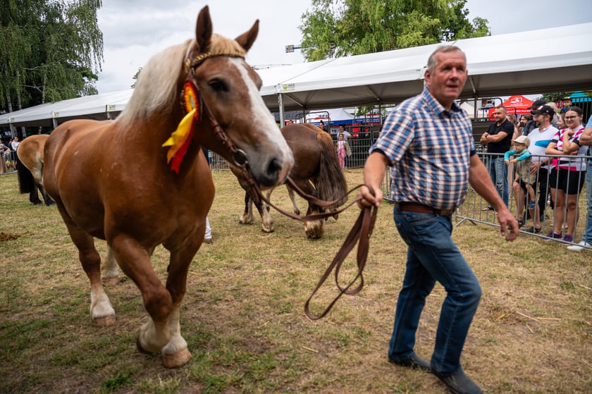 Regionalna Wystawa Zwierząt Hodowlanych we Wrocławiu