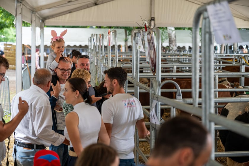 Regionalna Wystawa Zwierząt Hodowlanych we Wrocławiu
