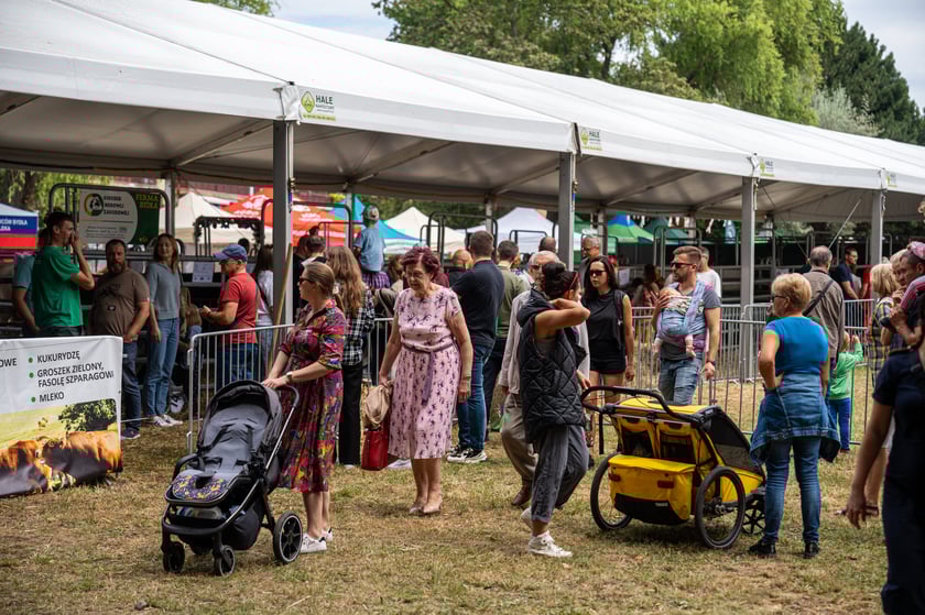 Regionalna Wystawa Zwierząt Hodowlanych we Wrocławiu