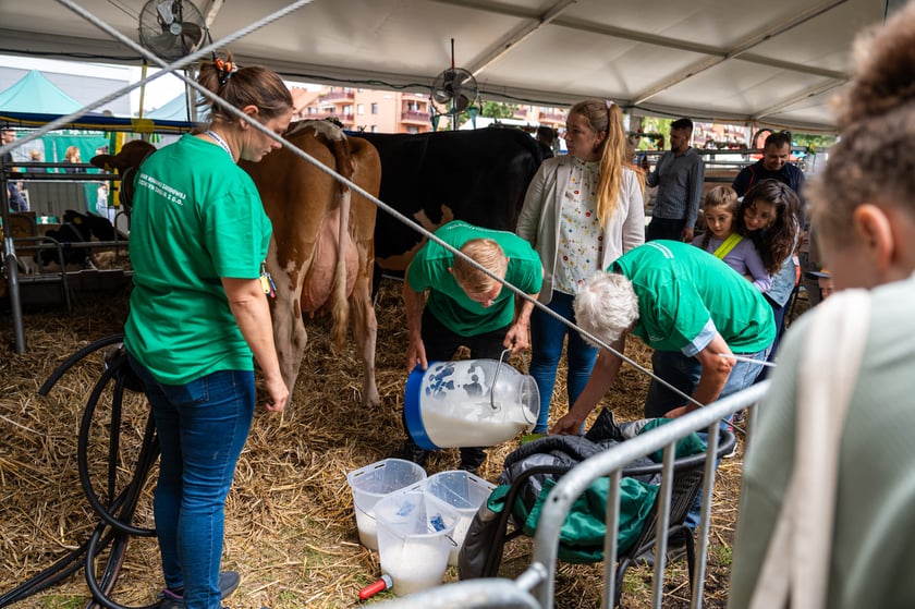 Regionalna Wystawa Zwierząt Hodowlanych we Wrocławiu