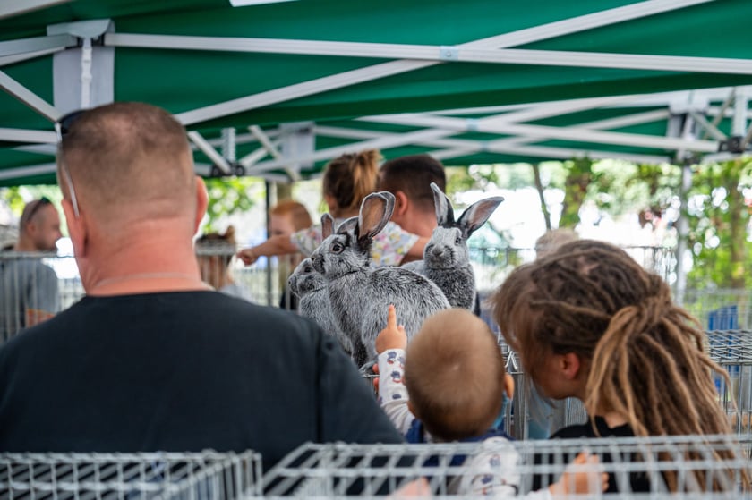 Regionalna Wystawa Zwierząt Hodowlanych we Wrocławiu