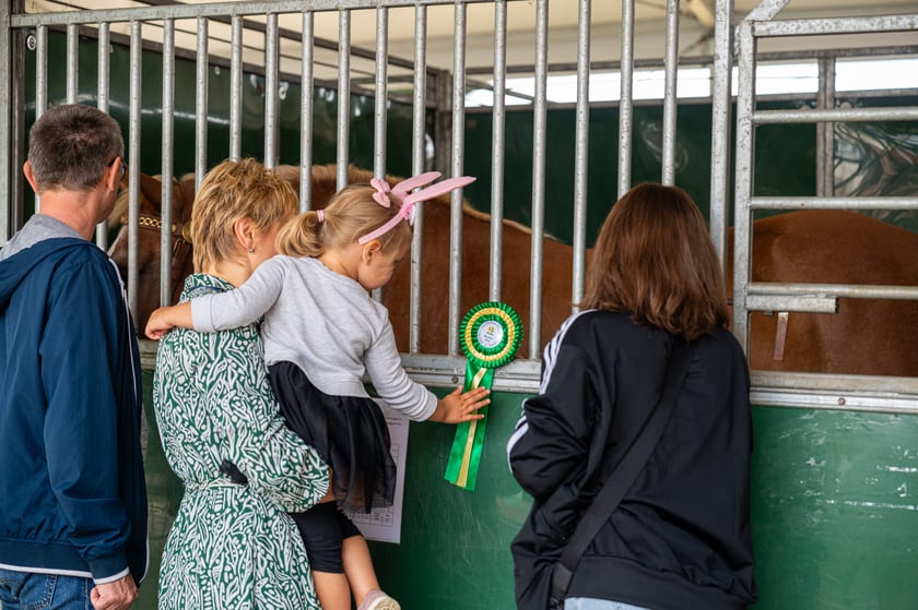 Regionalna Wystawa Zwierząt Hodowlanych we Wrocławiu