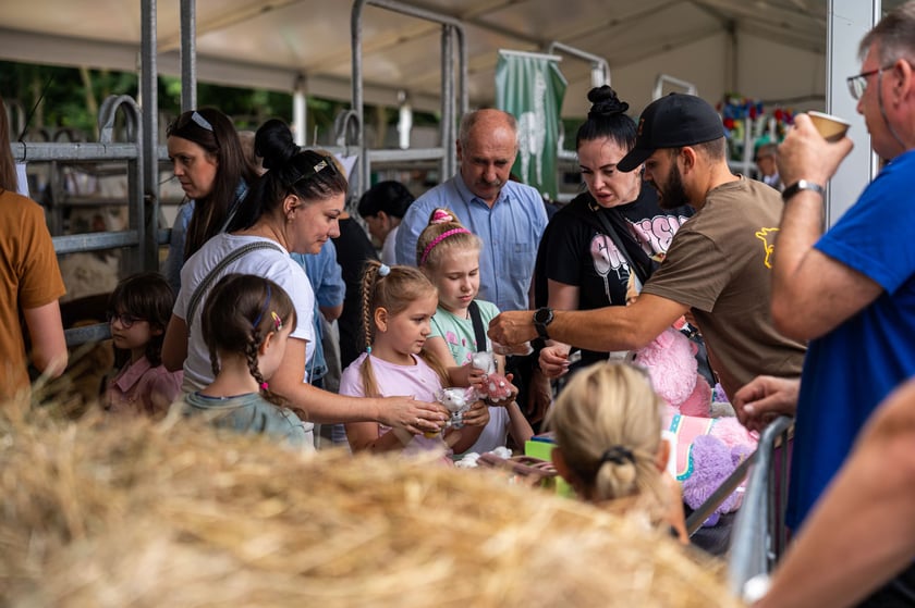 Regionalna Wystawa Zwierząt Hodowlanych we Wrocławiu