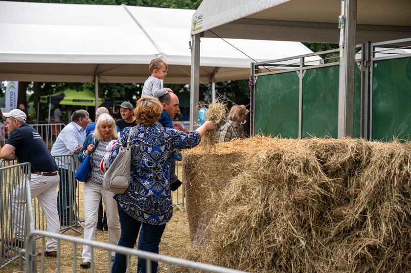 Regionalna Wystawa Zwierząt Hodowlanych we Wrocławiu