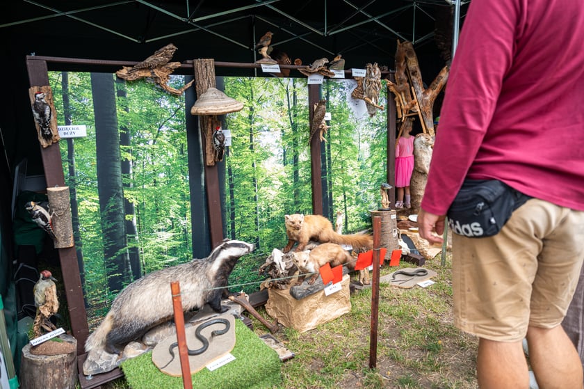 Regionalna Wystawa Zwierząt Hodowlanych we Wrocławiu
