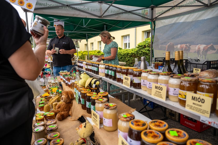 Regionalna Wystawa Zwierząt Hodowlanych we Wrocławiu