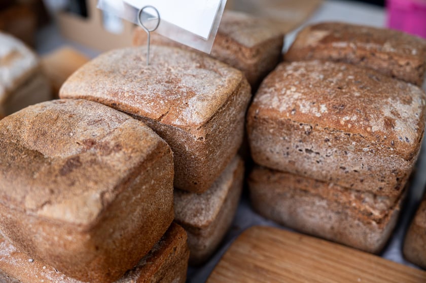 Regionalna Wystawa Zwierząt Hodowlanych we Wrocławiu