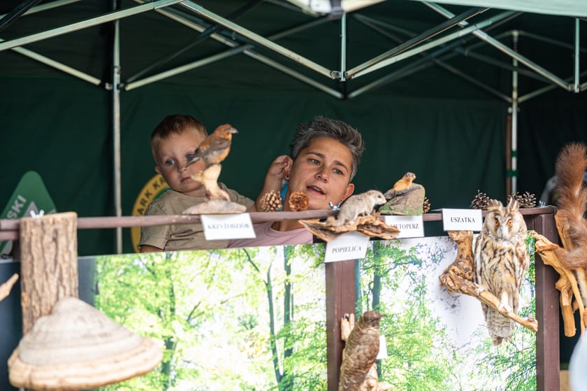 Regionalna Wystawa Zwierząt Hodowlanych we Wrocławiu