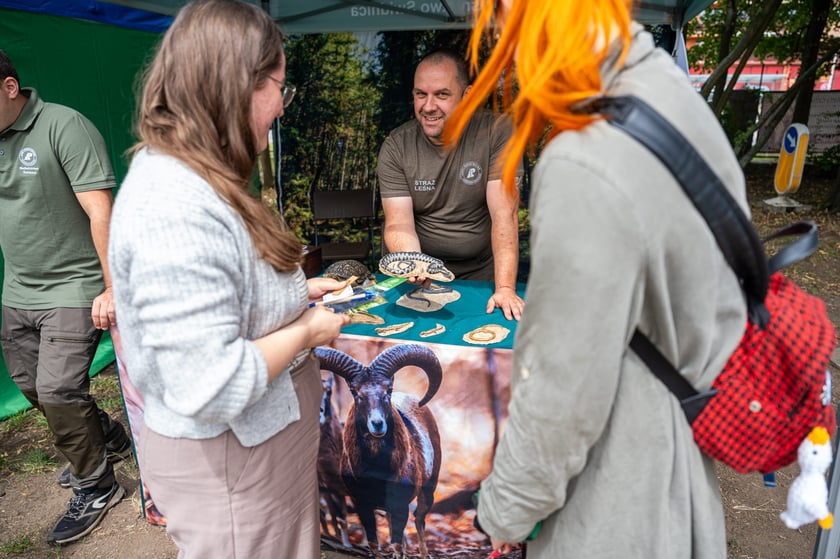 Regionalna Wystawa Zwierząt Hodowlanych we Wrocławiu